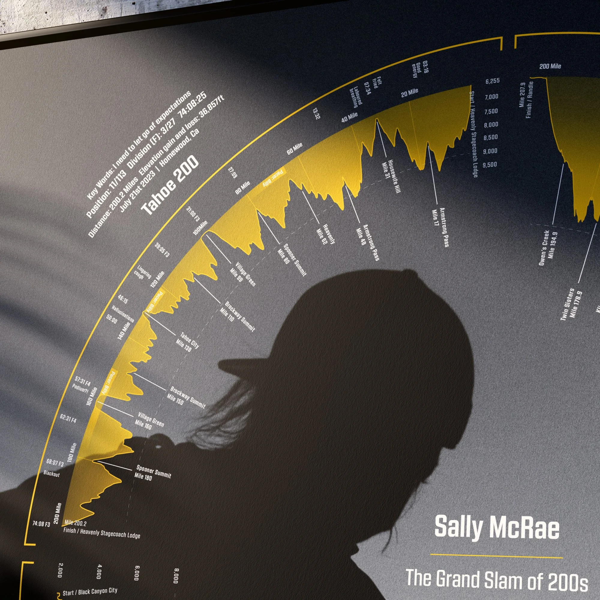 David Turfitt Bespoke Posters