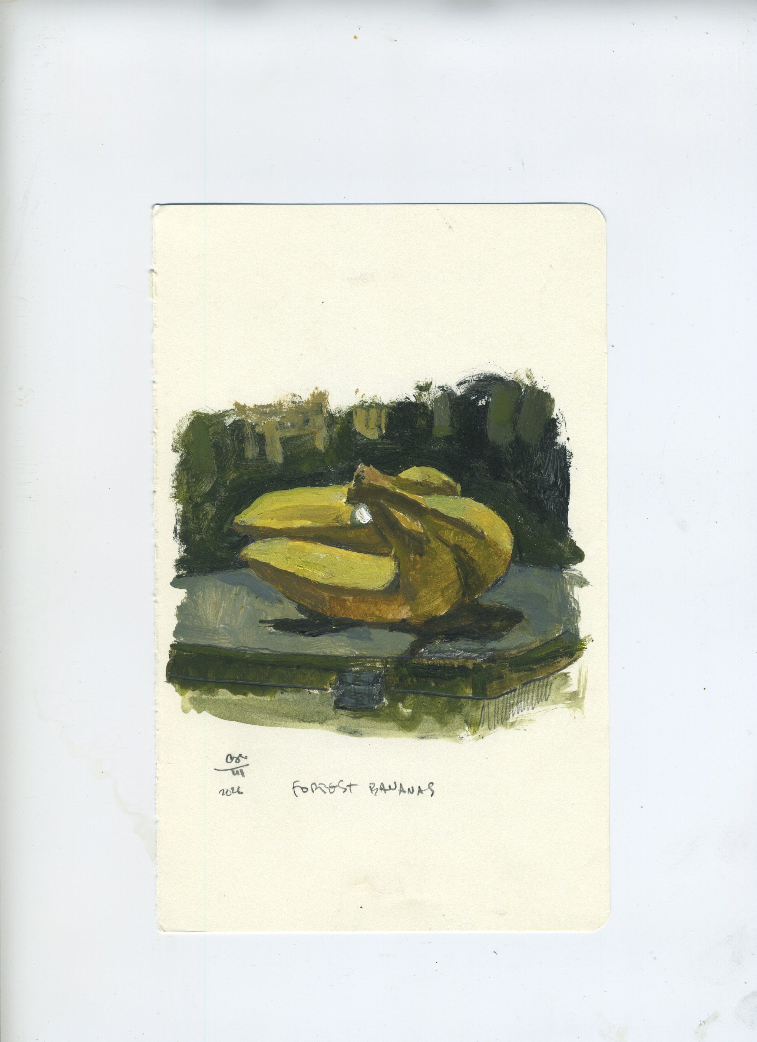 Scan 183.jpeg