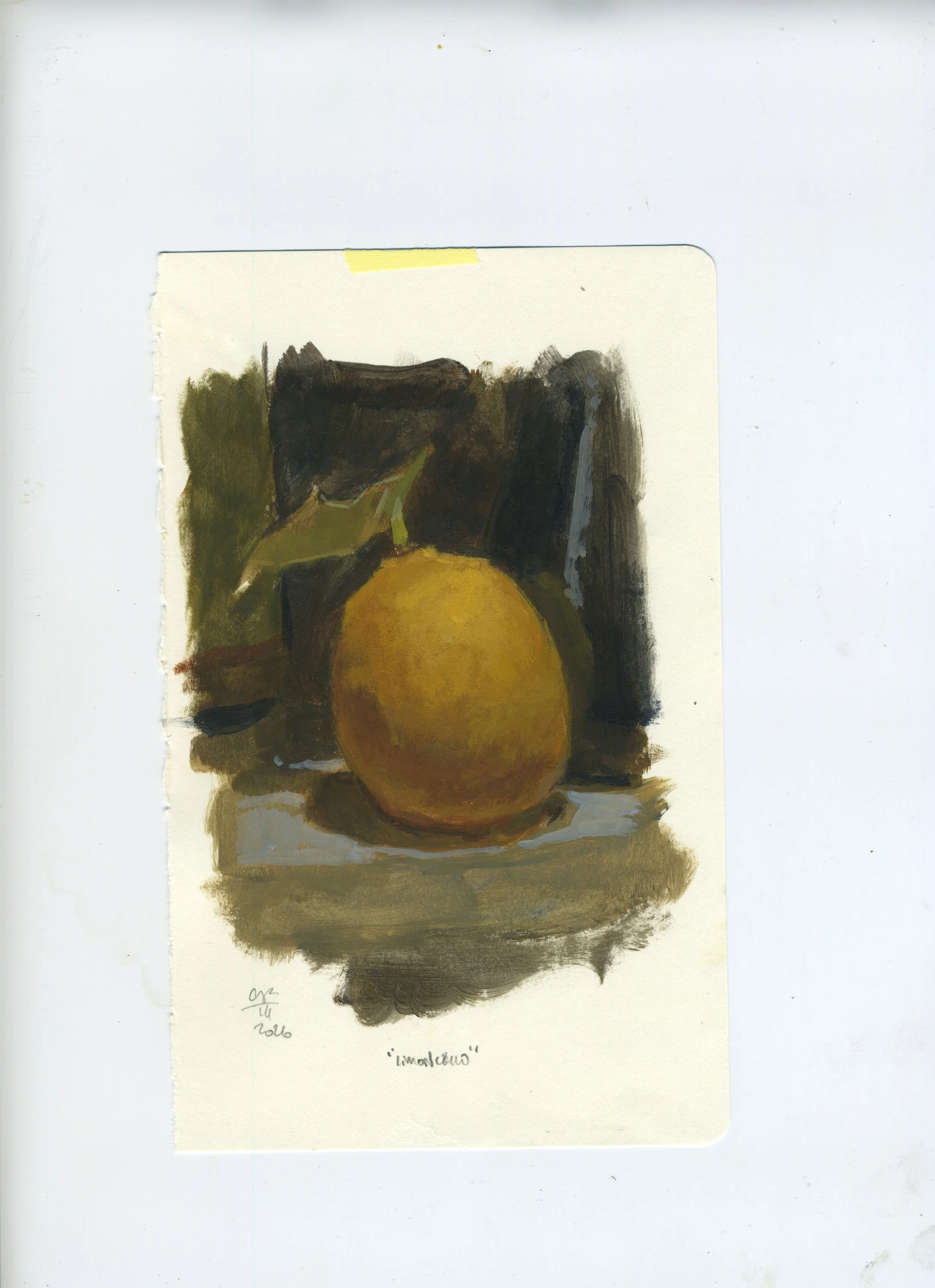 Scan 178.jpeg
