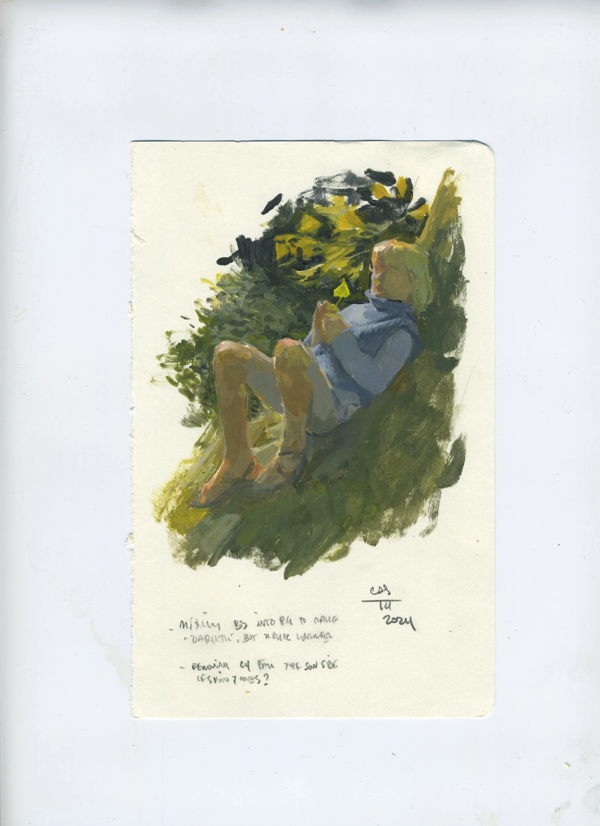 2024 Redwoods Study 05