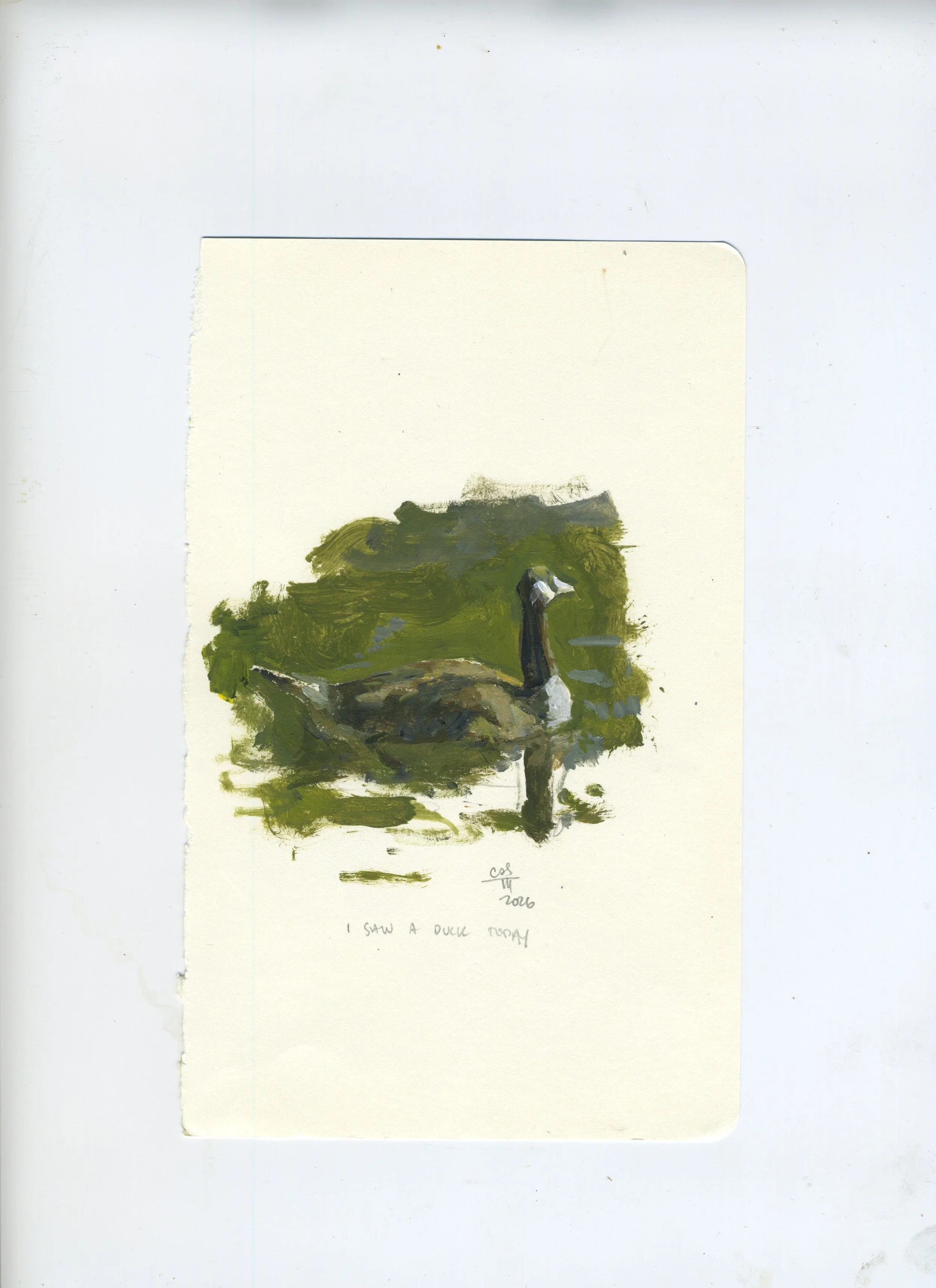 Scan 173.jpeg