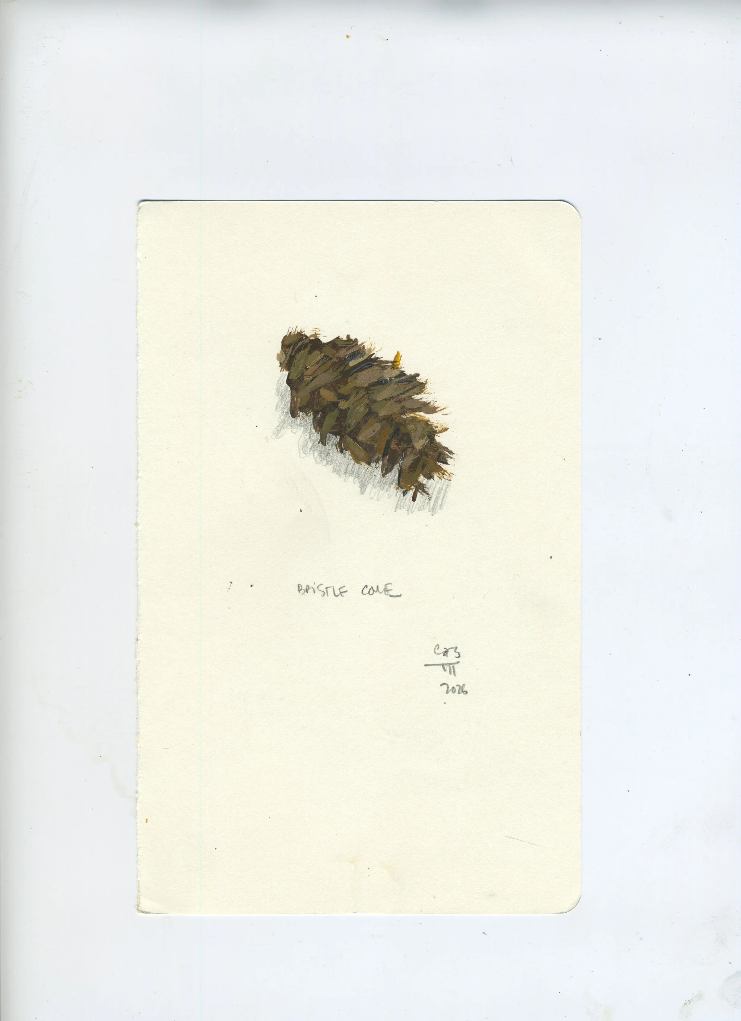 Scan 185.jpeg
