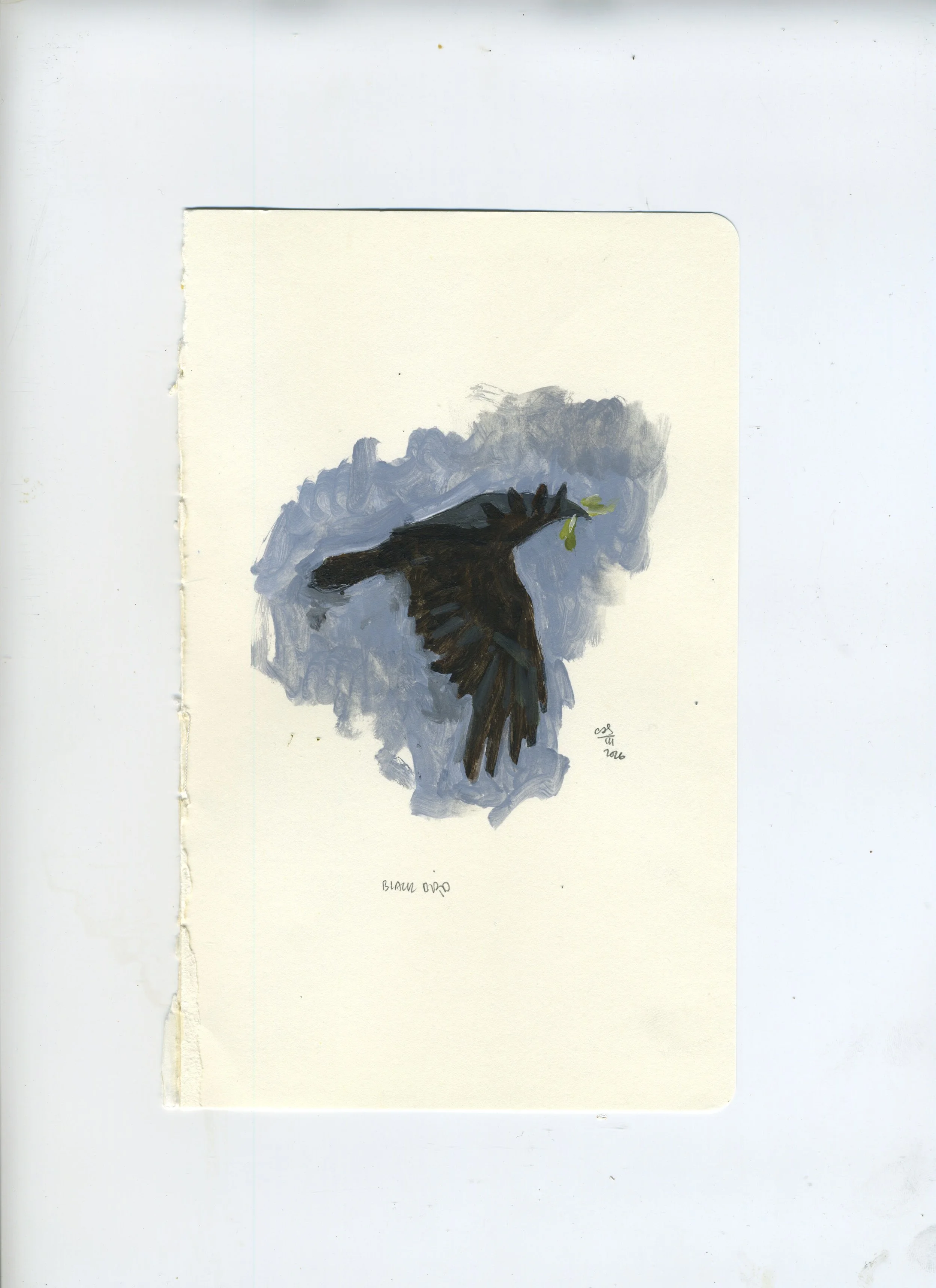 Scan 62.jpeg