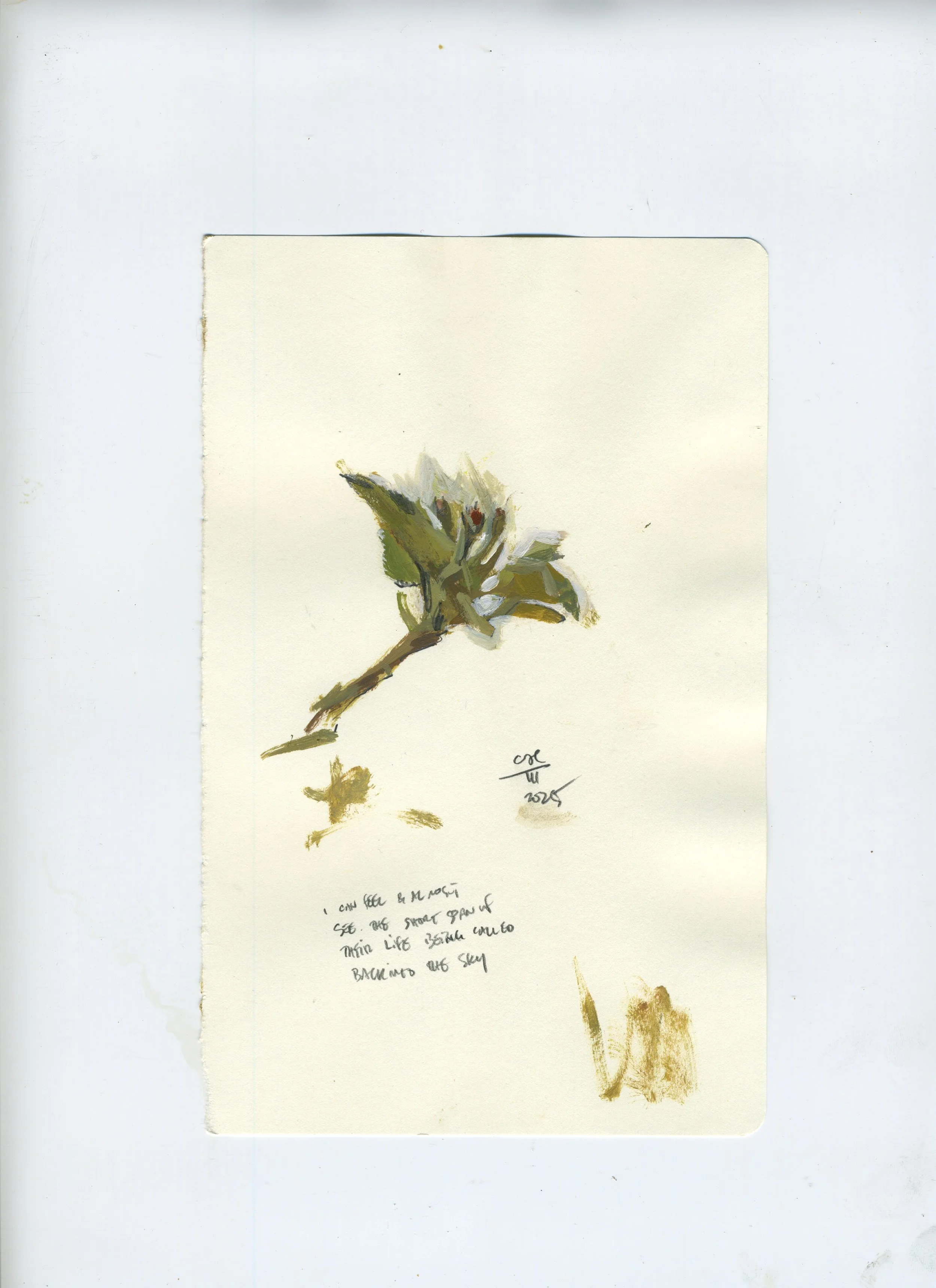 Scan 108.jpeg