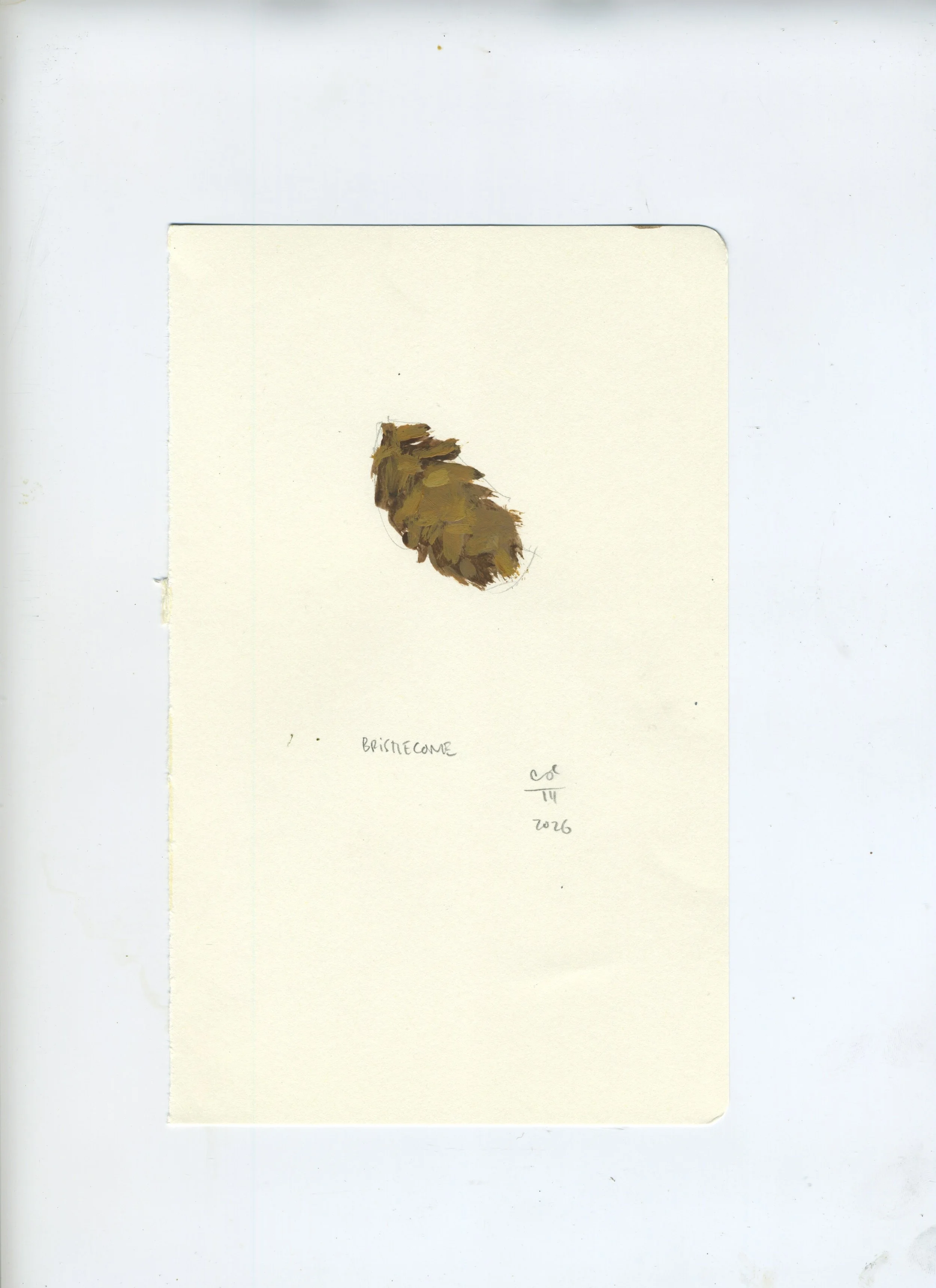 Scan 186.jpeg