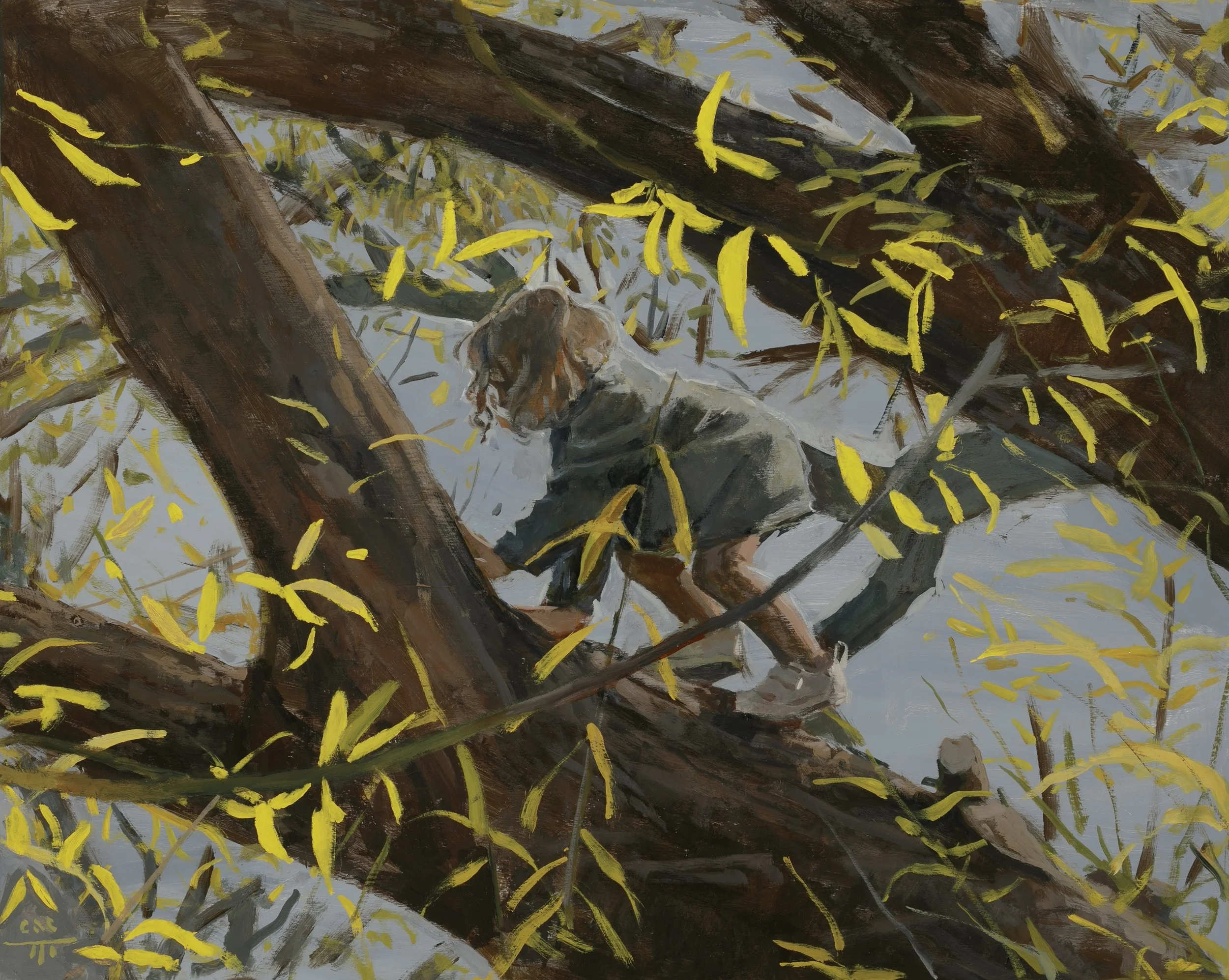 Something Like Flying
