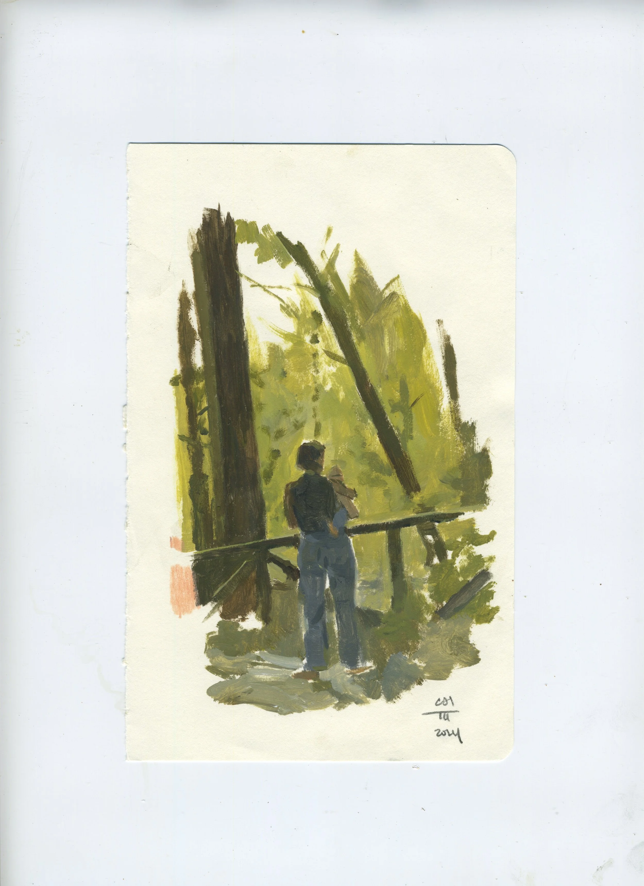 2024 Redwoods Study 02