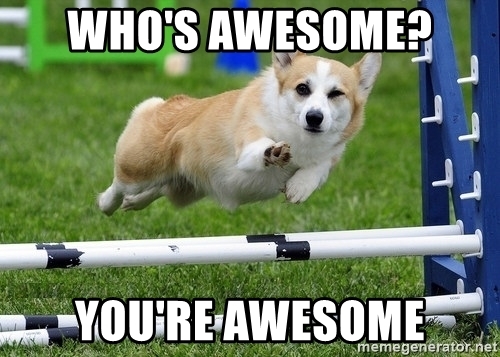 whos-awesome-youre-awesome.jpg