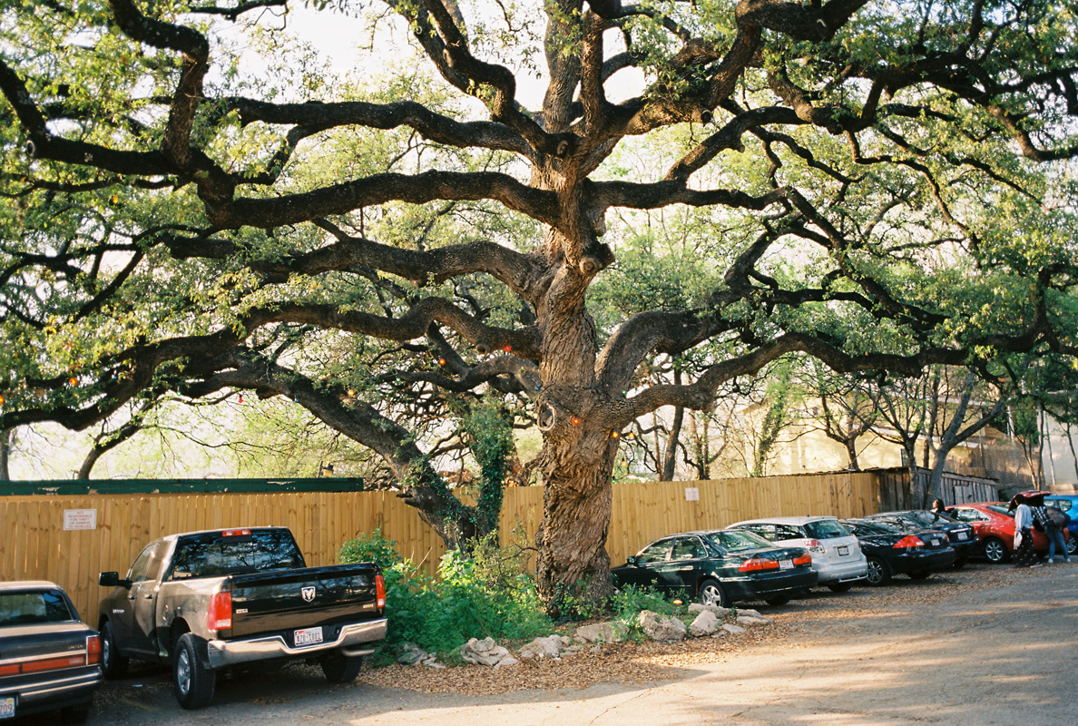 tangting_converse_sxsw12_020.jpg