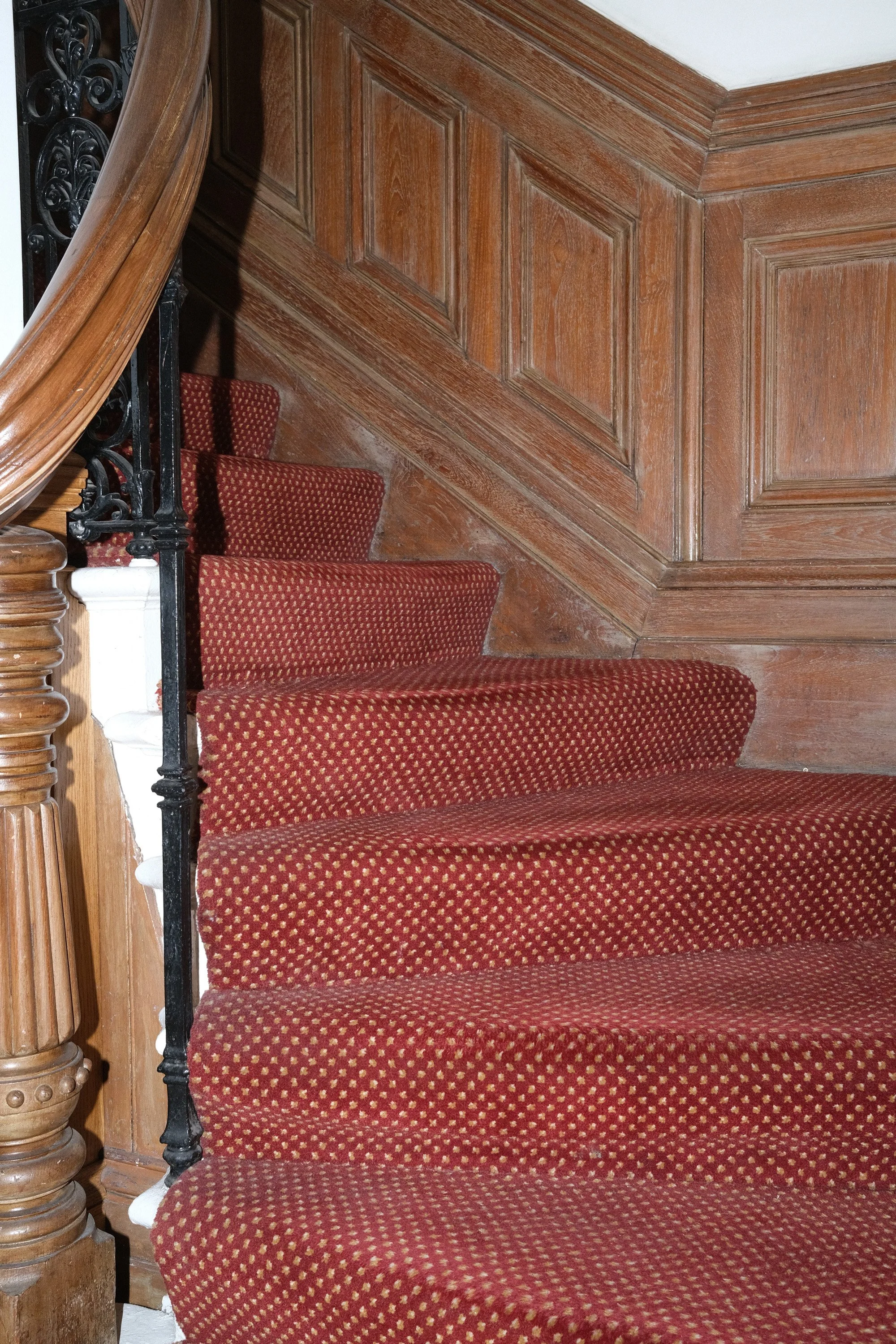 DSCF2542.jpg