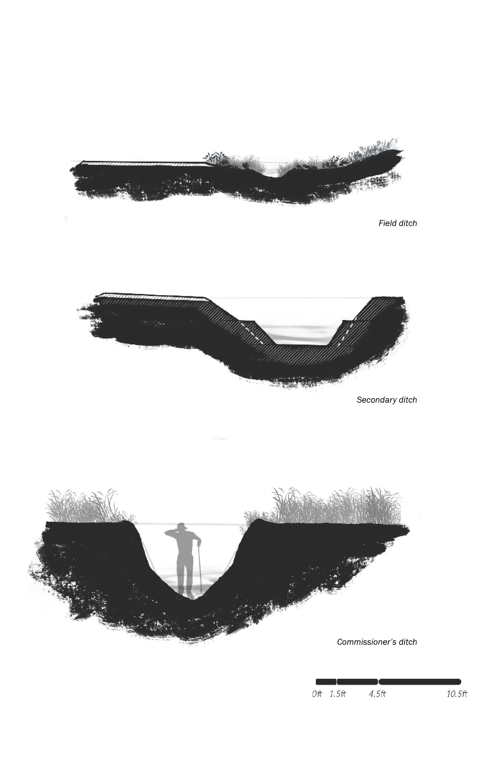 Weber_Figure2.jpg