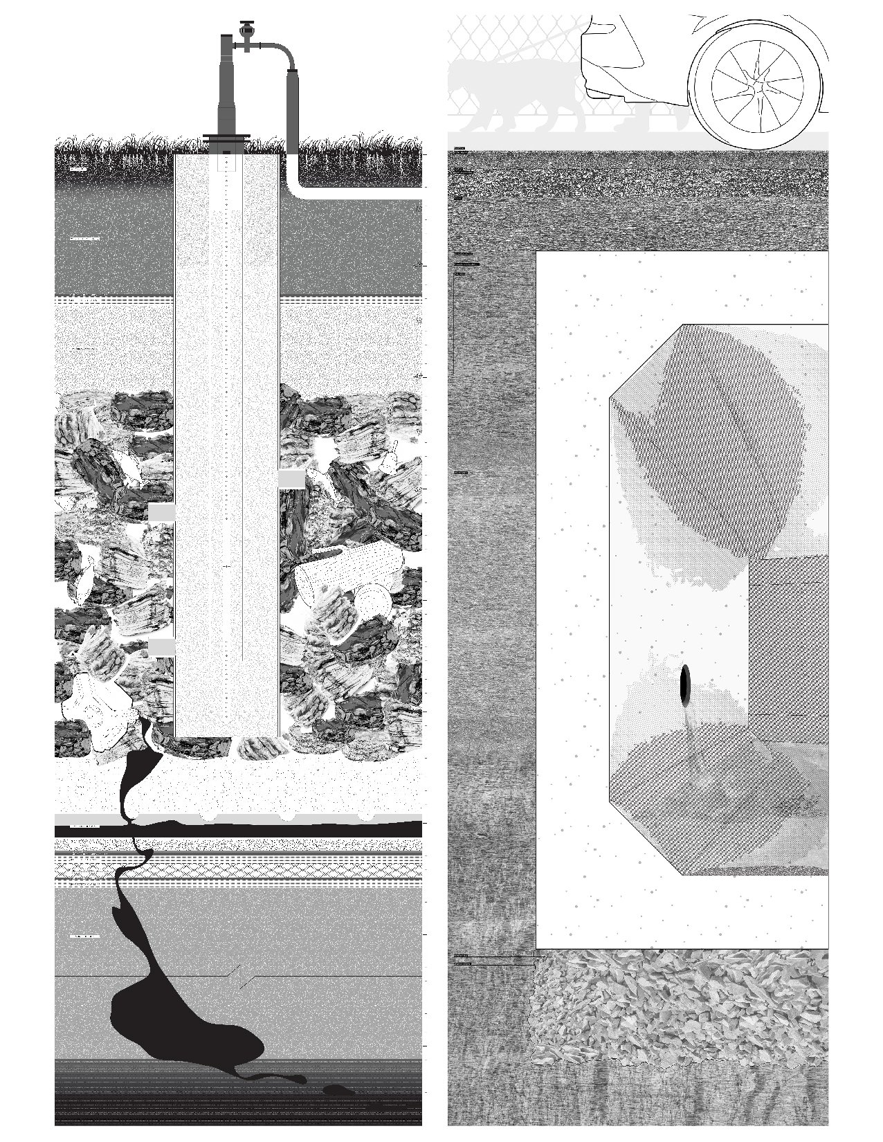 Weber_Figure 2.jpg