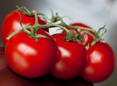 quiche+tomatoes.jpg