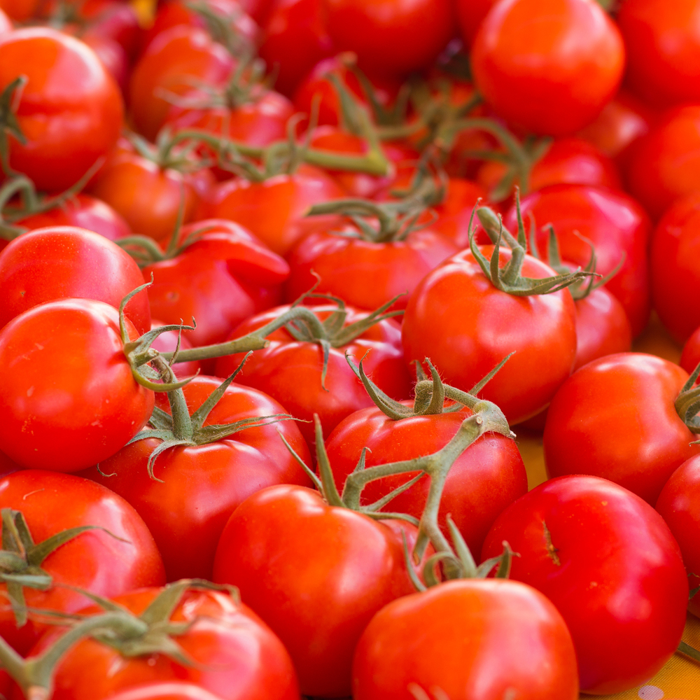 tomatoes in sf.jpg