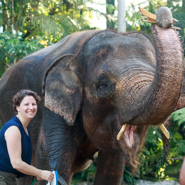 Elephant Sanctuary Indonesia