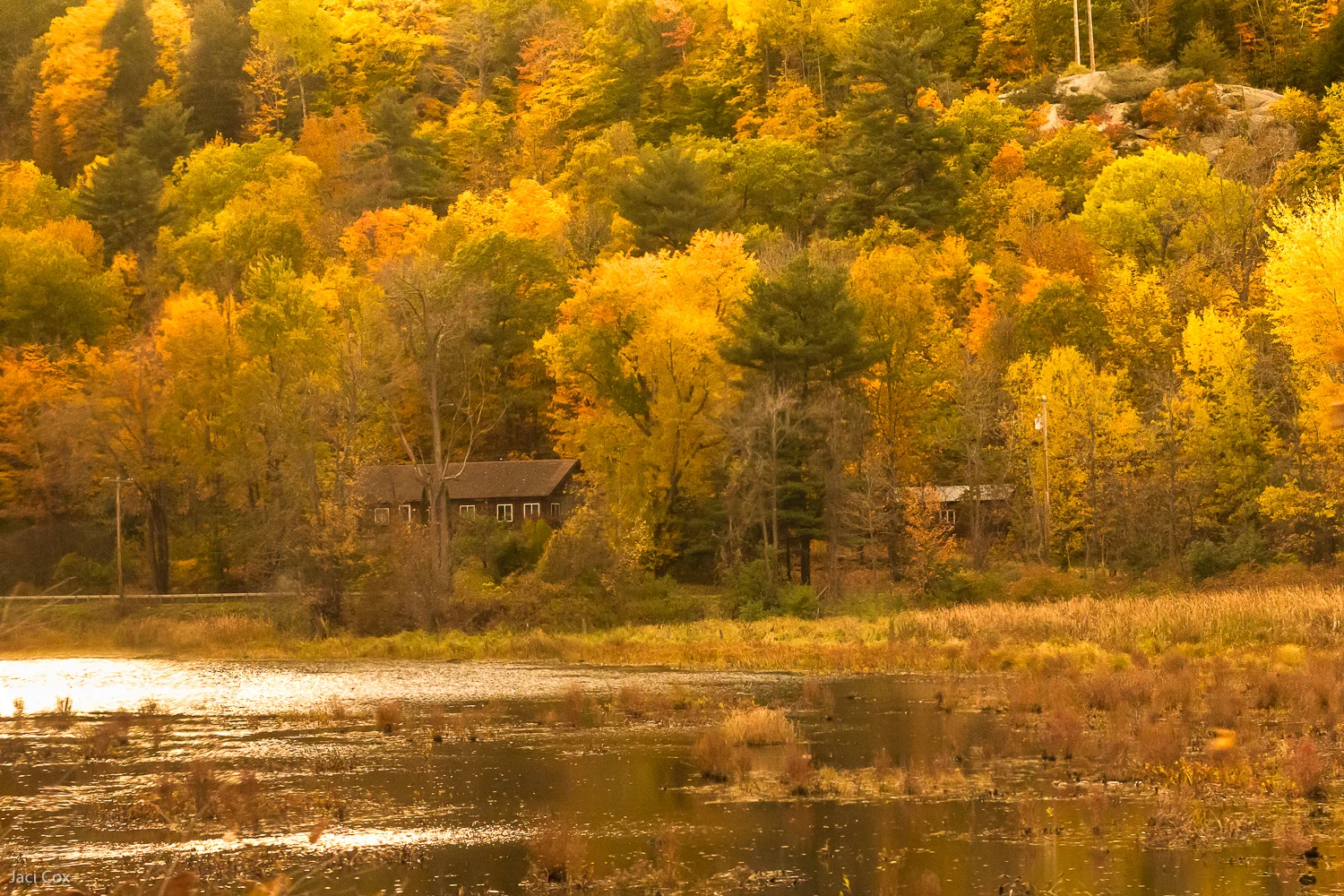 newyork-fall-autumn-october.jpg
