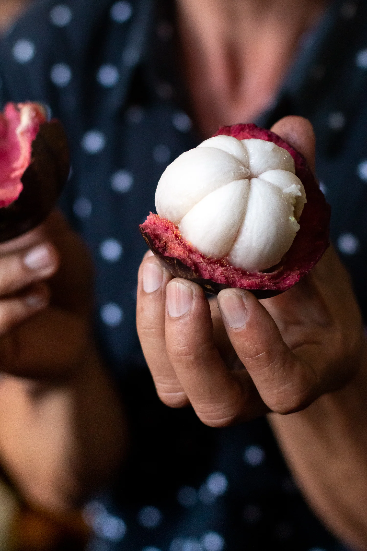mangosteen-offering.jpg