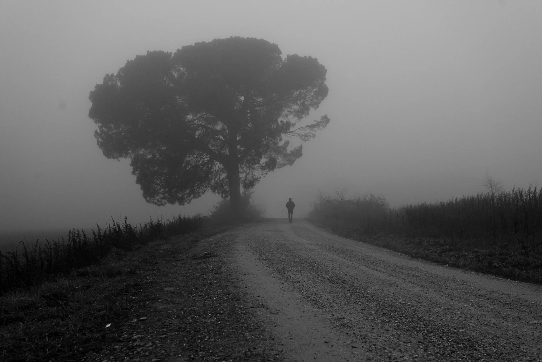 The runner in the fog