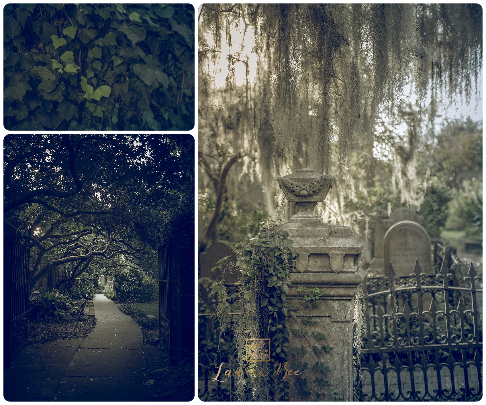 Charleston-4.jpg