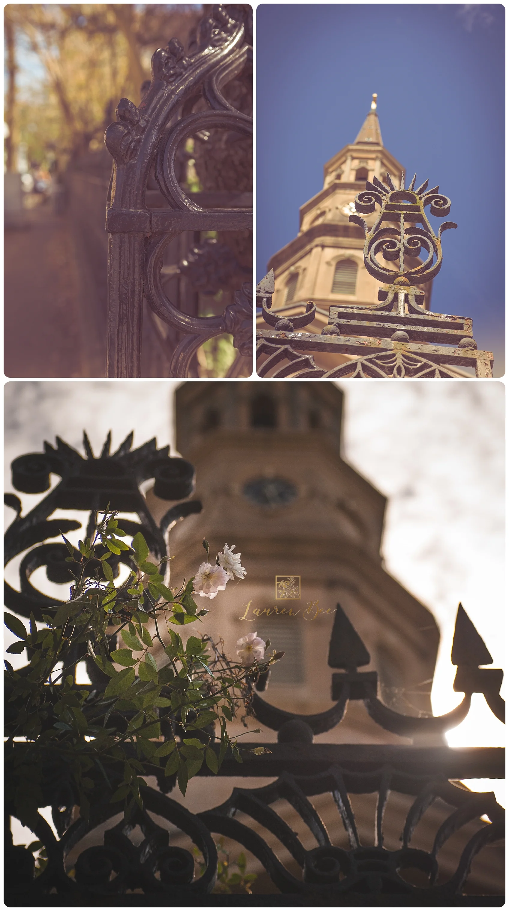 Charleston-8.jpg