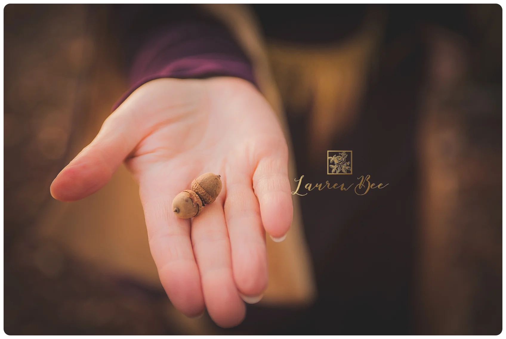 Magical Acorn.jpg