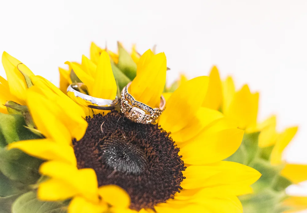 Florida Wedding Photographer-4.jpg