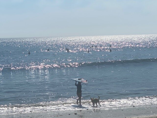 that isn’t her dog.  he greeted every surfer that came out of the water.  what a guy. &lt;3