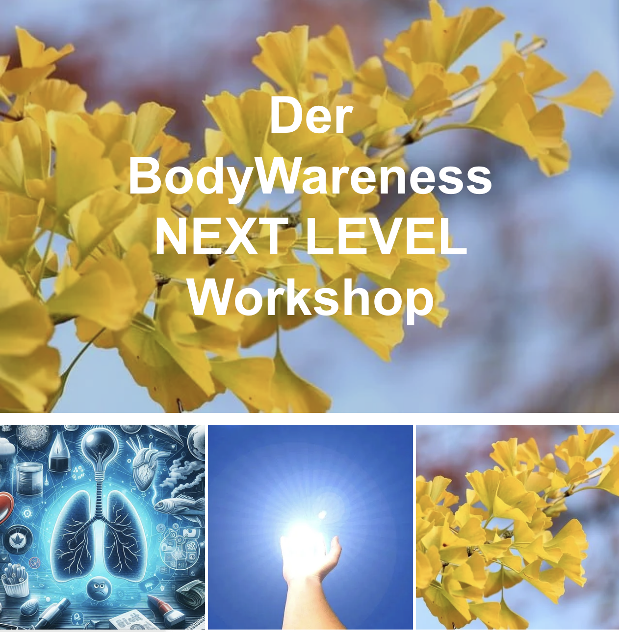 Der BodyWareness NEXT LEVEL Workshop