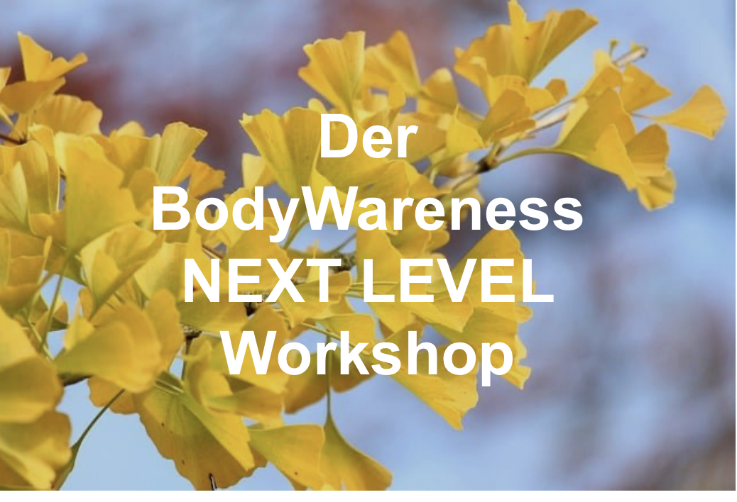 Der BodyWareness NEXT LEVEL Workshop