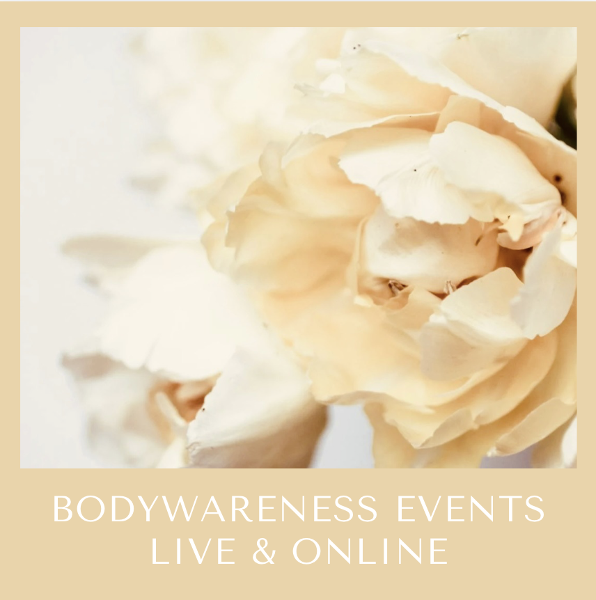 Screenshot 2026-04-14 at 12.17.32.png