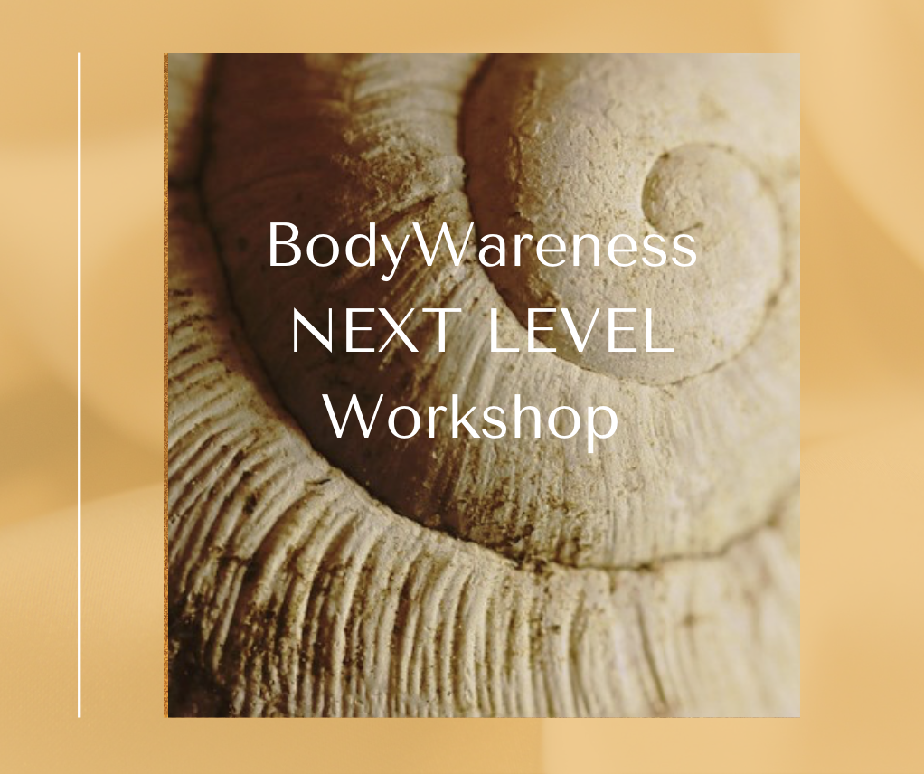 NEXT LEVEL Workshop am 3. Juni