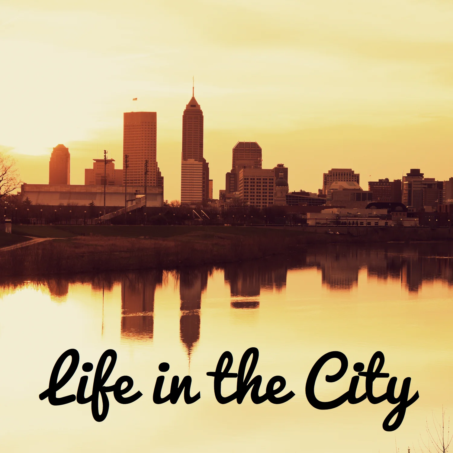 Life in the City