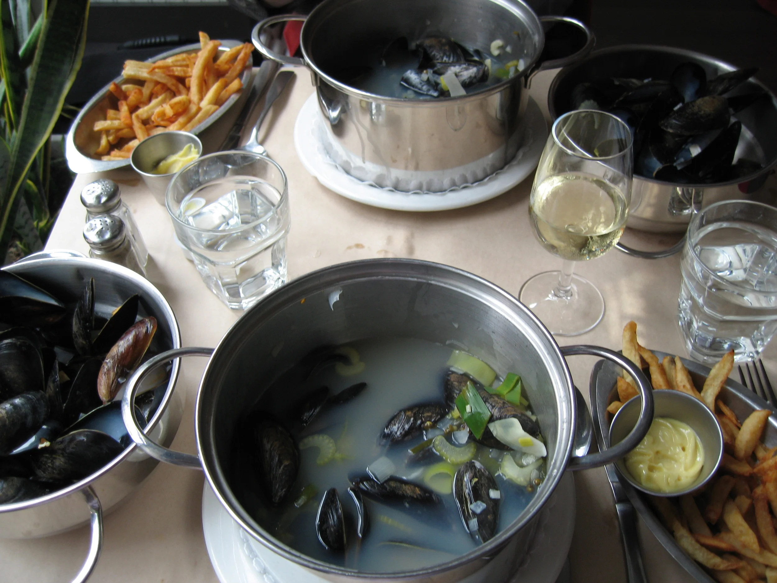 Moules for lunch 3.JPG