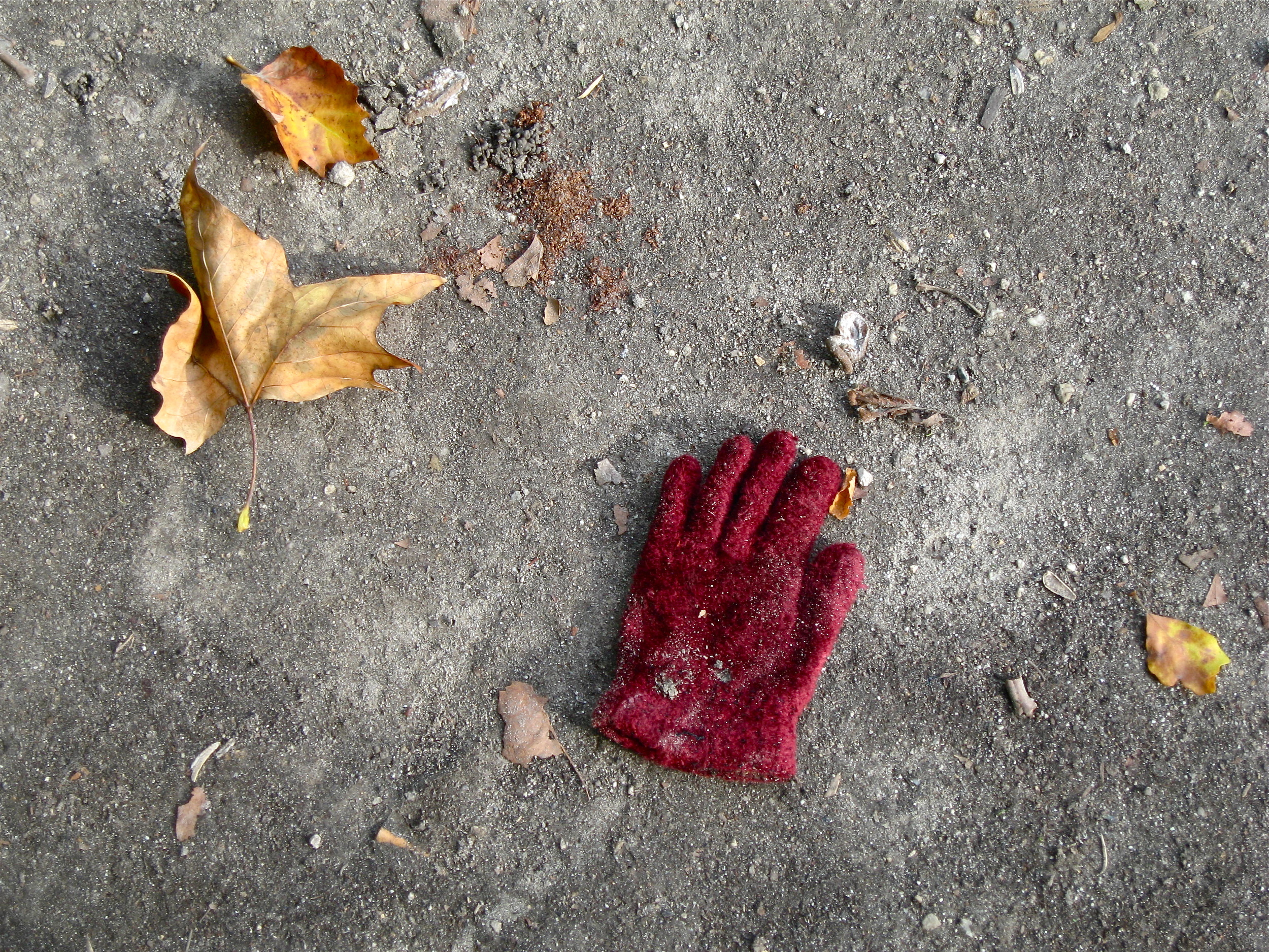 Leaves with red glove , Brussels, October 2013