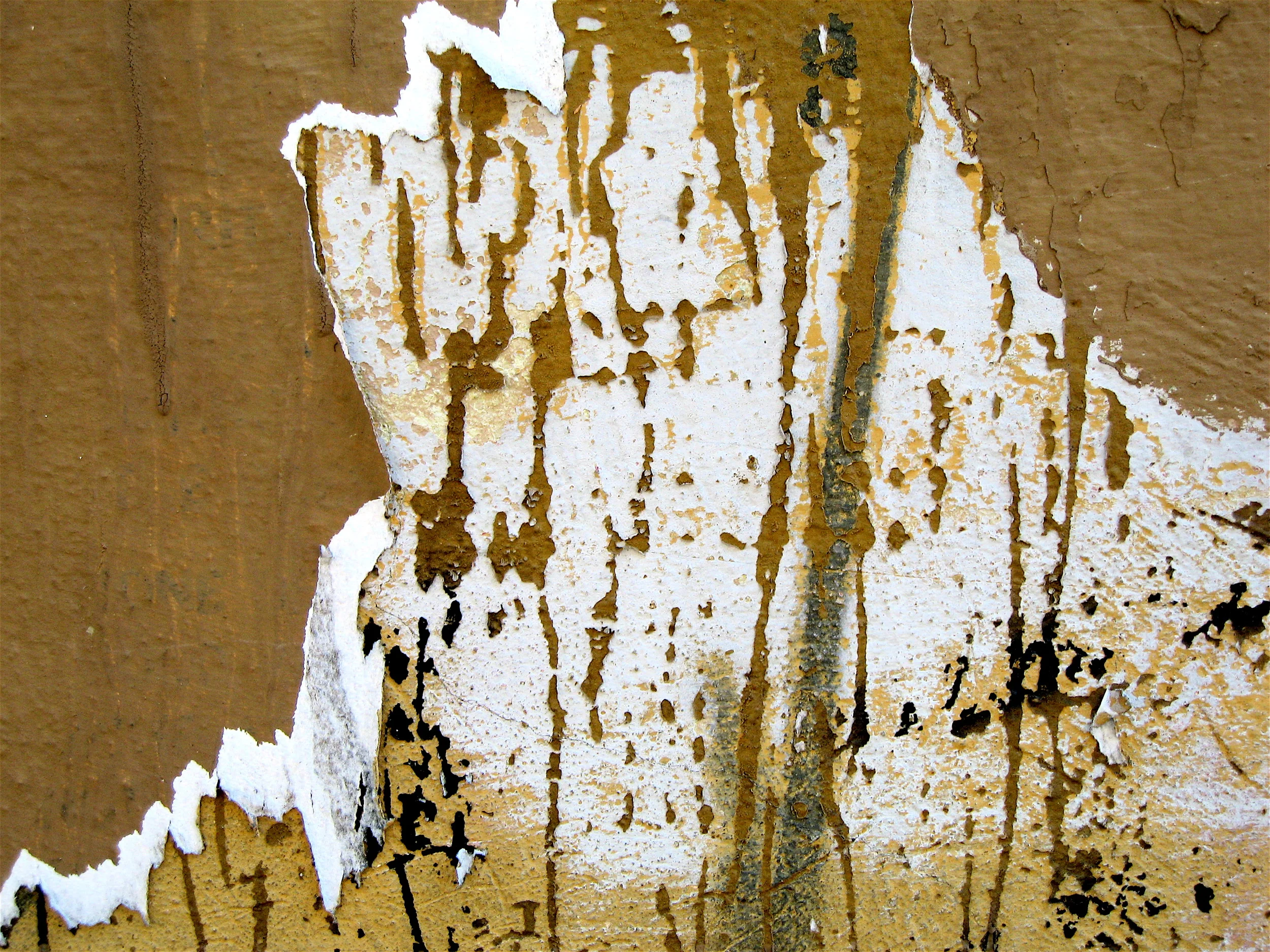 inkjet on Fabriano paper, 8.5 x 11 inches