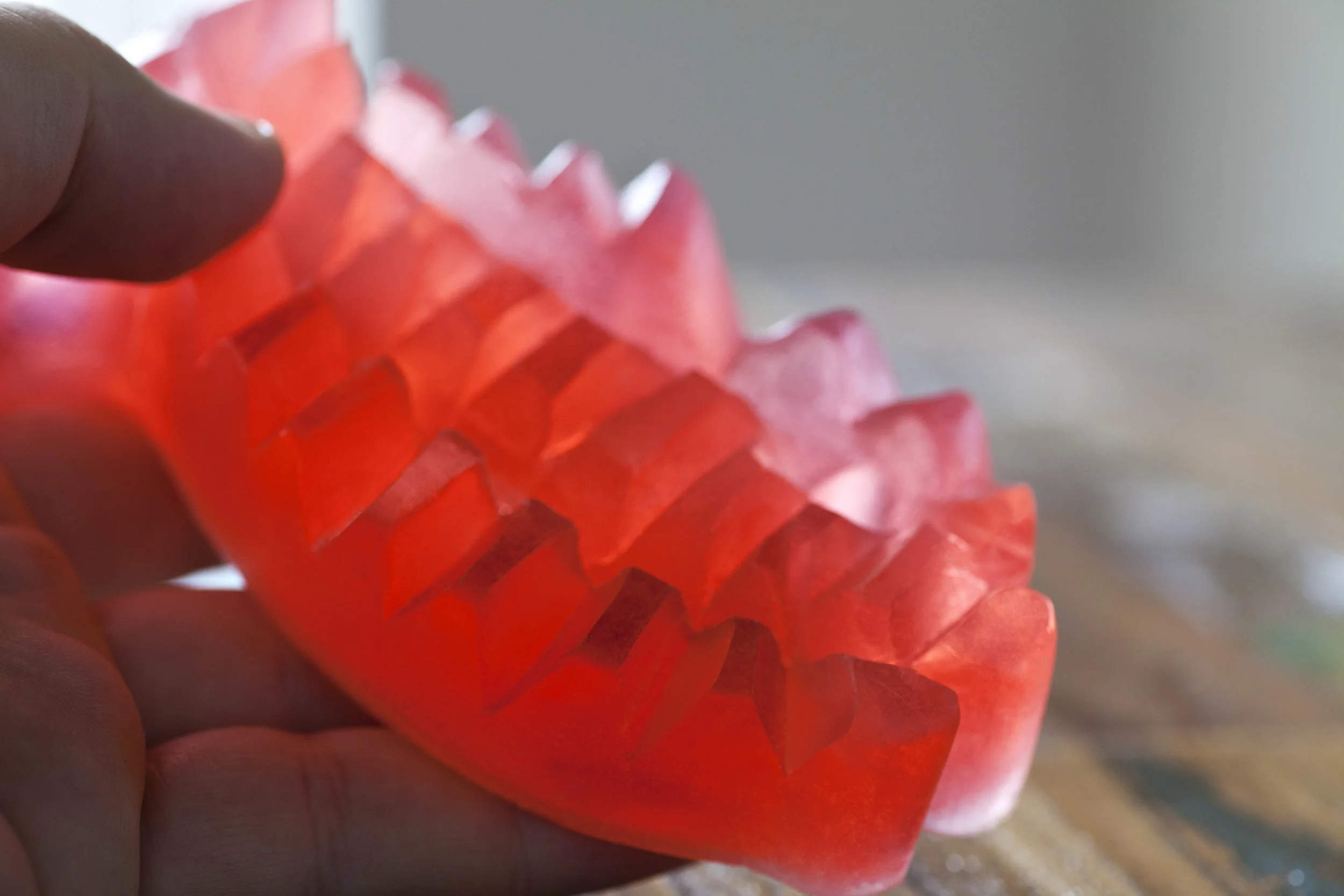 FishyDetailPink_nomark2.jpg