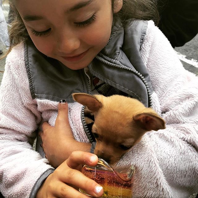 @Gemtera, even our smallest customers are a #big #deal! 😍 🐶  #pocketsize #bff #gemcandles ::