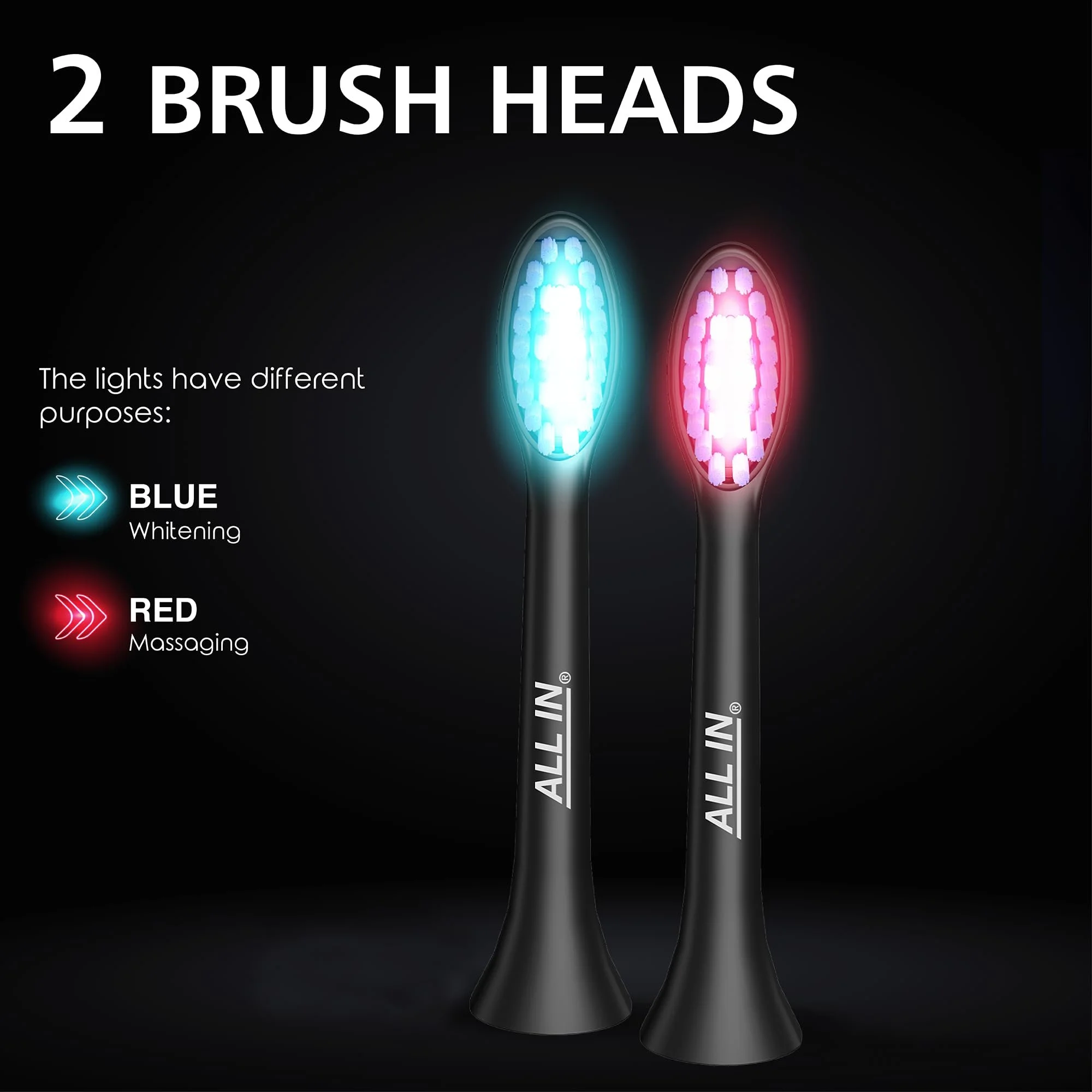 ALL IN Brush 2 heads.jpg