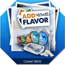 CamelSNUS.png