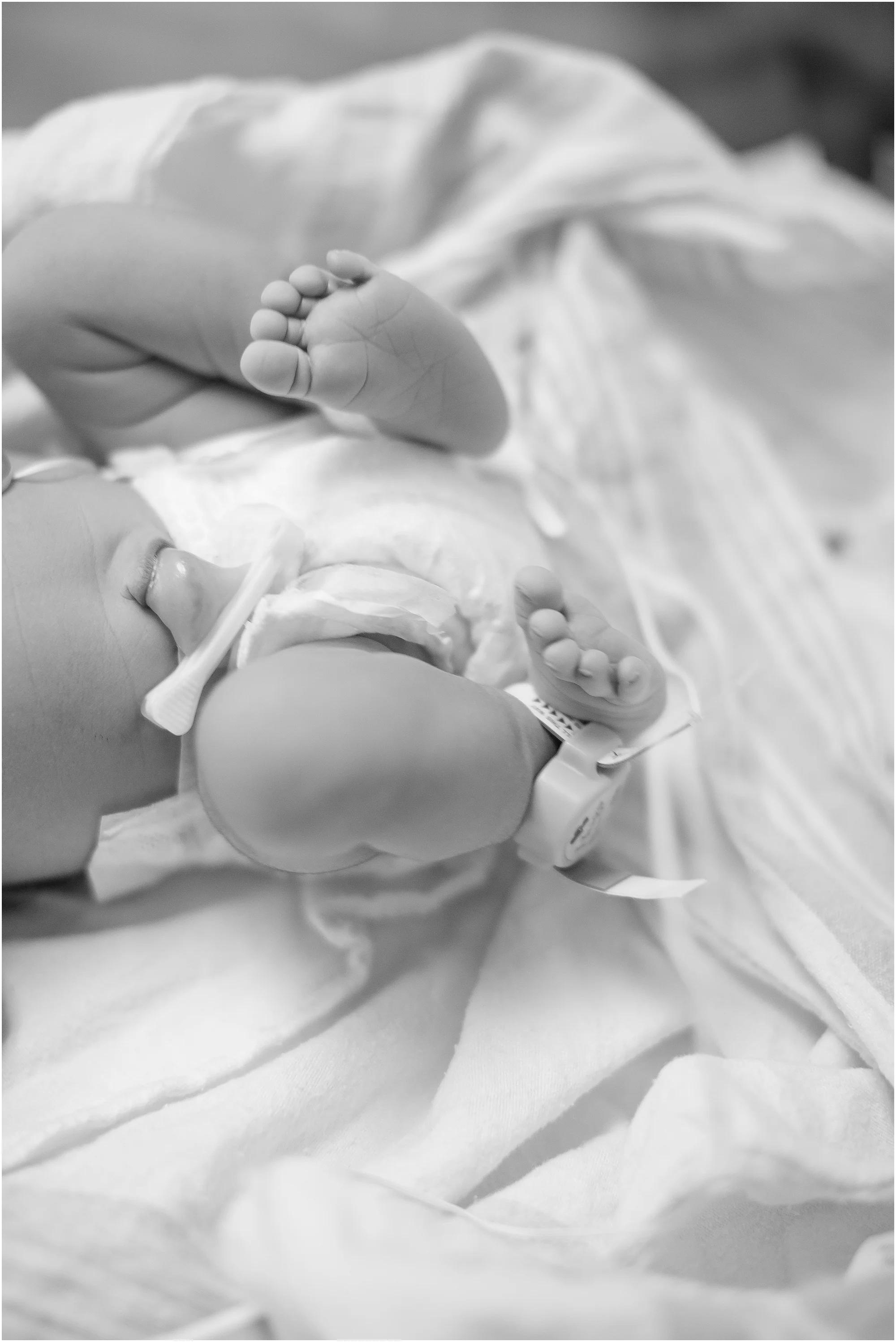 nova birth and baby photographer_0072.jpg