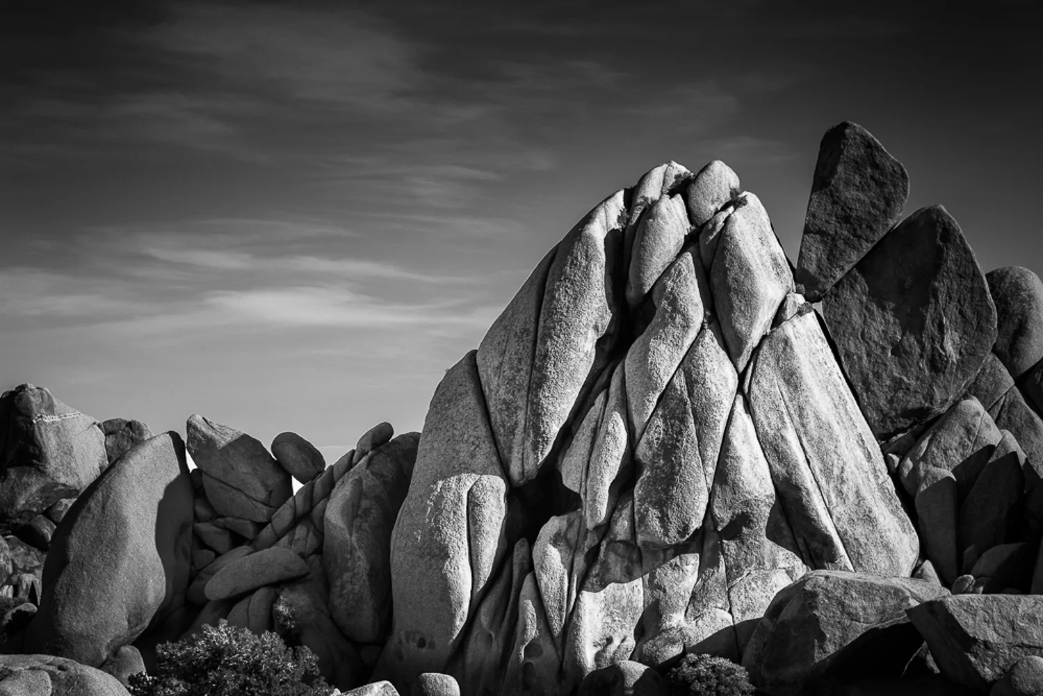Joshua Tree, CA