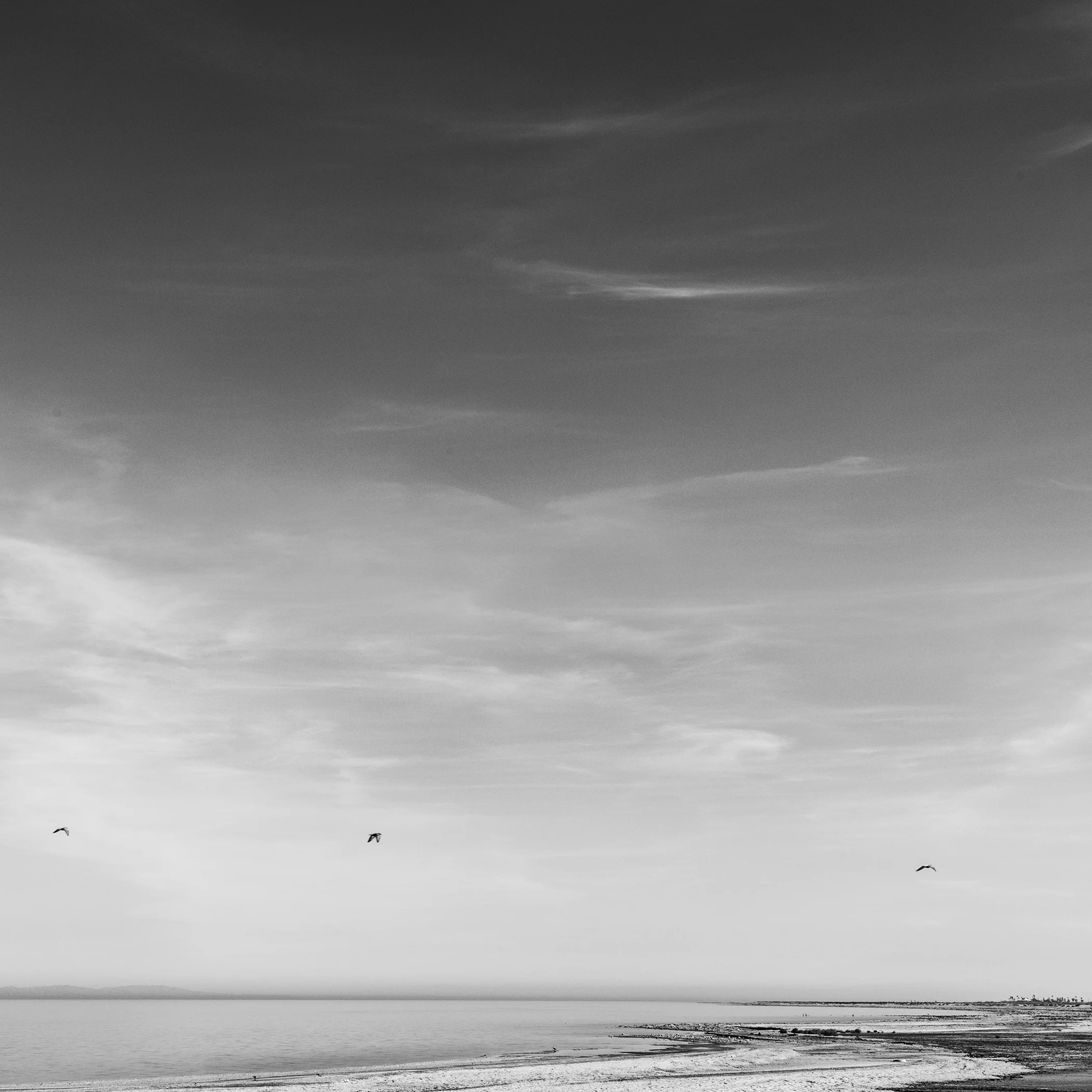265A2985-Edit.jpg