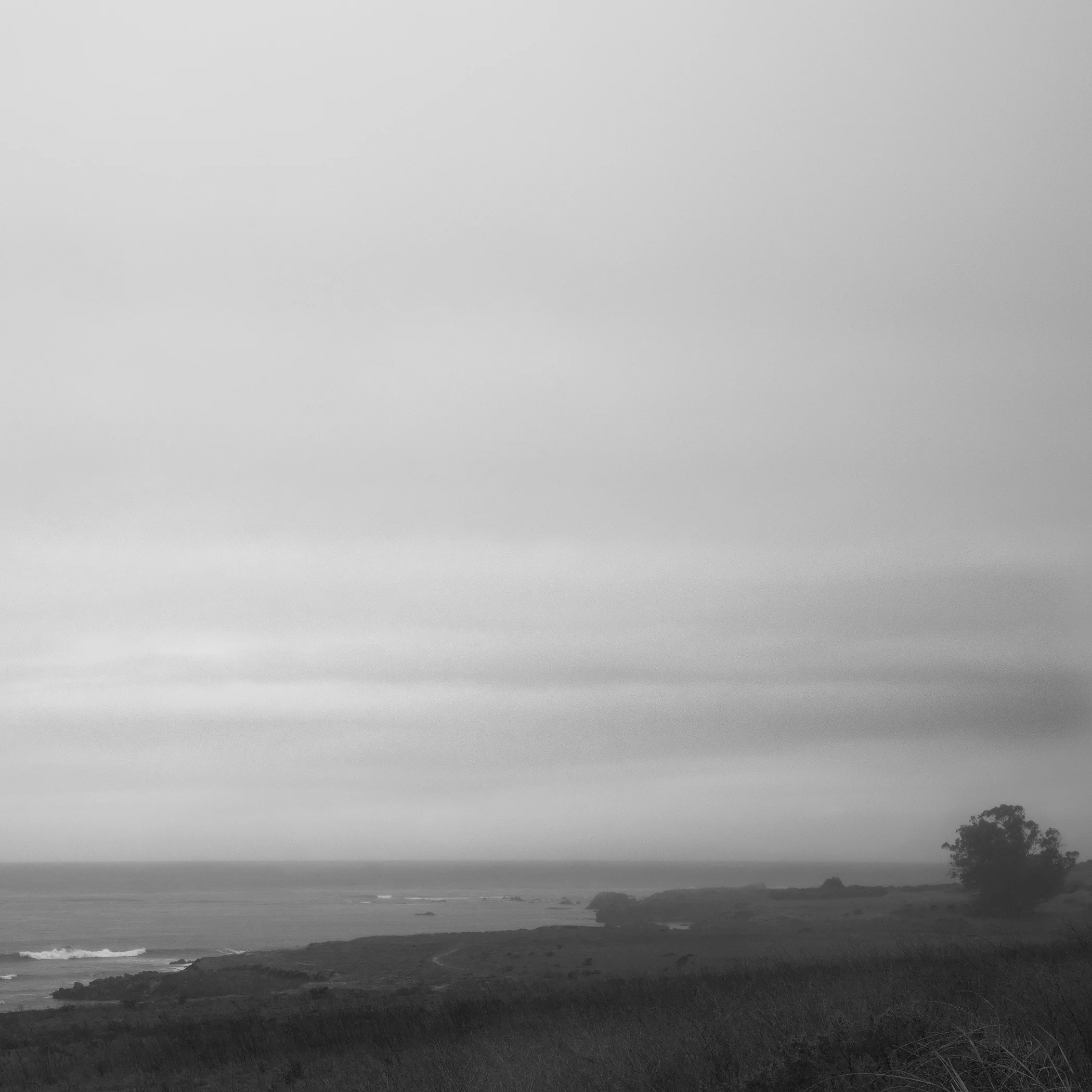 265A2504-Edit-2.jpg