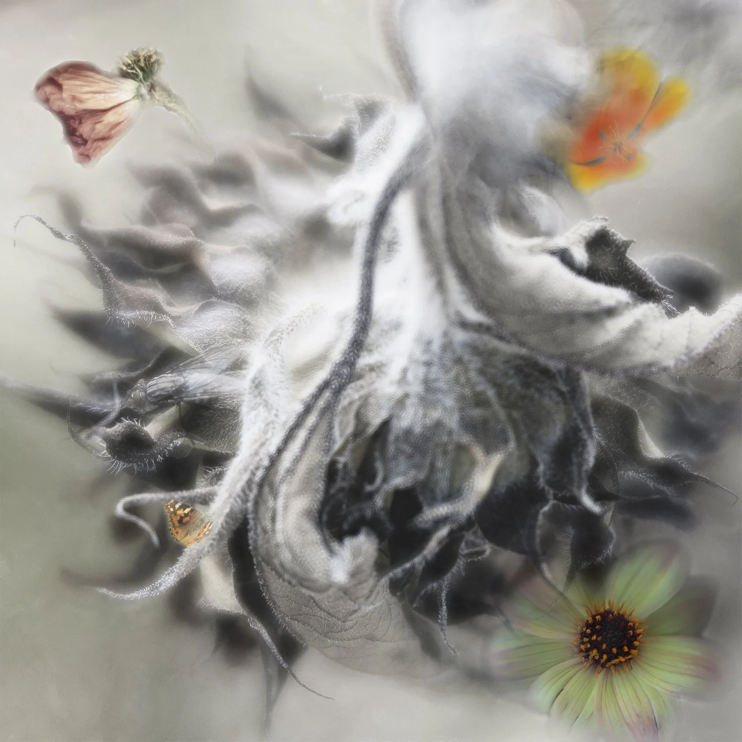 Ensnared with Flowers.jpg