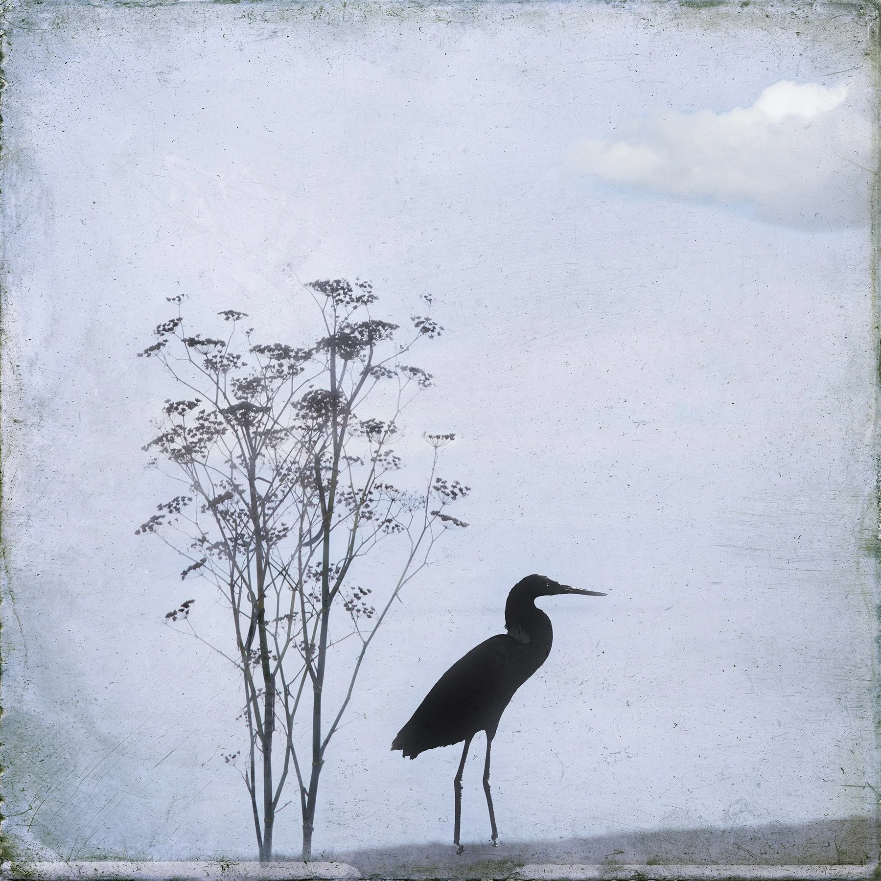 Egret PRINT.jpg