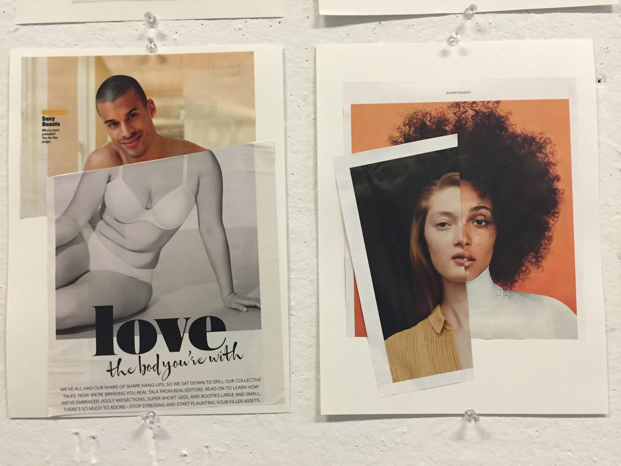 Detail of exemplars of Paired Portraits