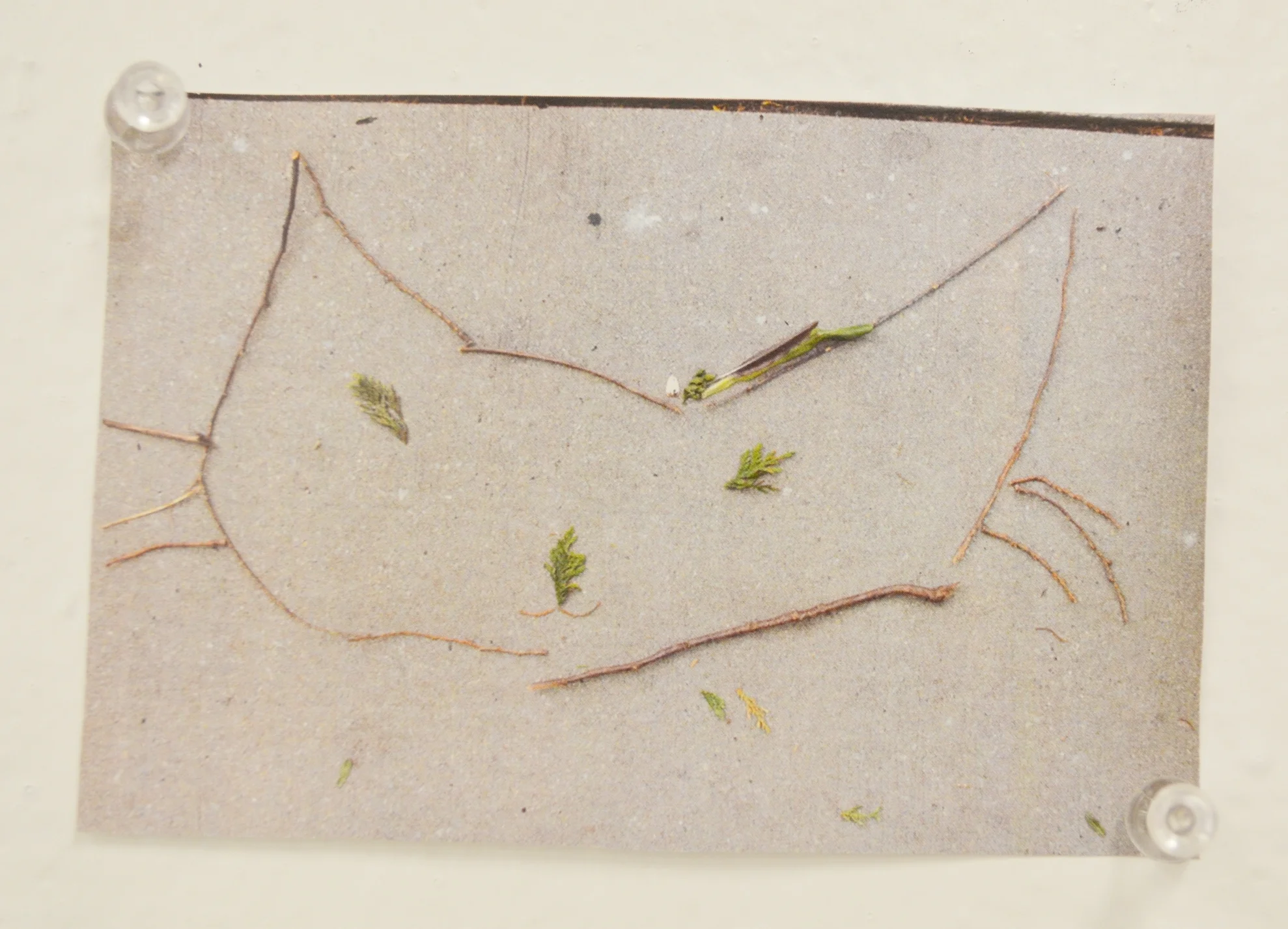 Detail from Learning Earthworks