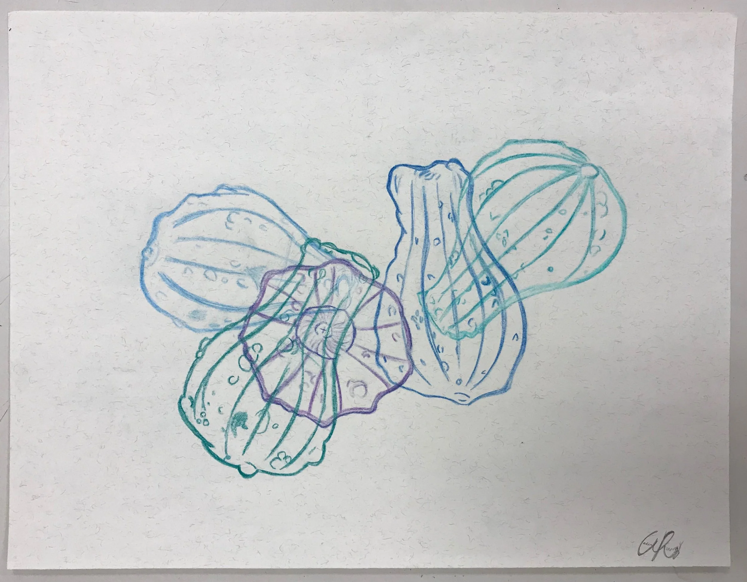 Overlapping contours