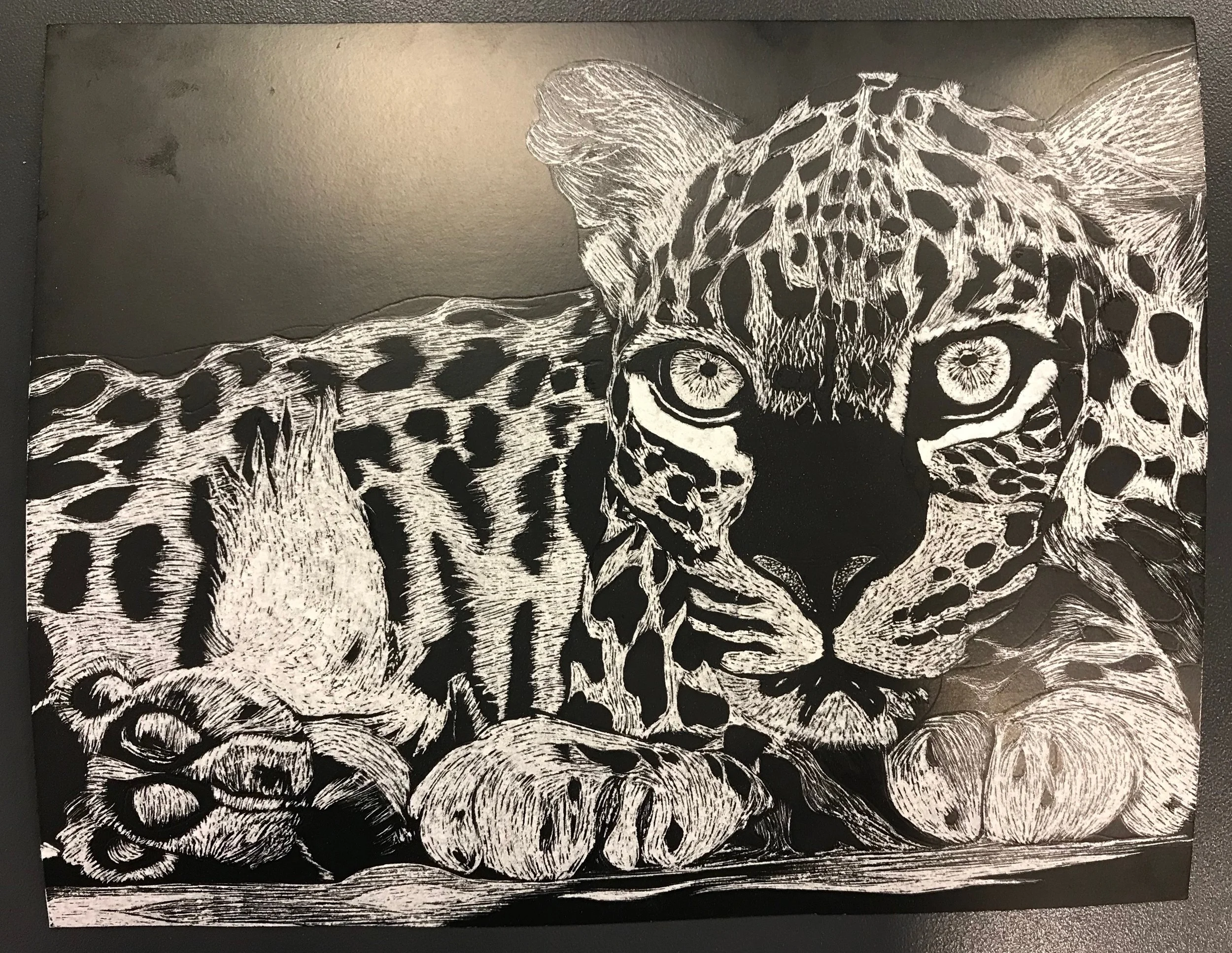Endangered Species scratch art