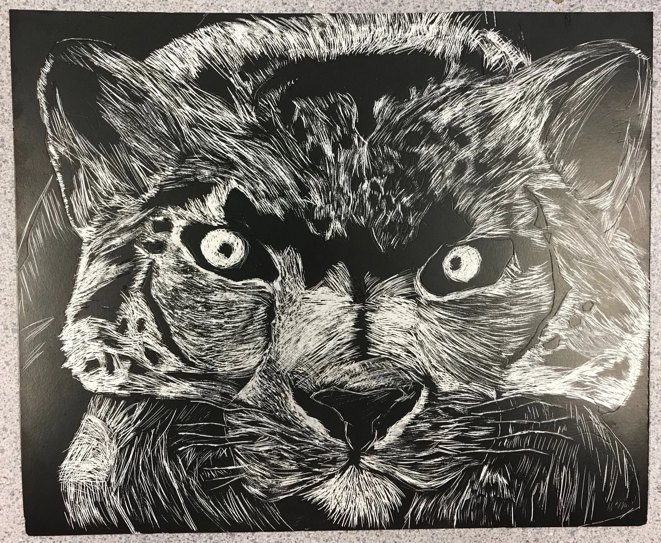 Endangered Species scratch art